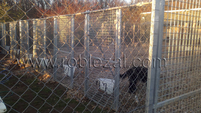 Cheniles residencia canina